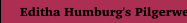 Editha Humburg's Pilgerweg