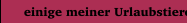  einige meiner Urlaubstiere