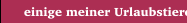  einige meiner Urlaubstiere